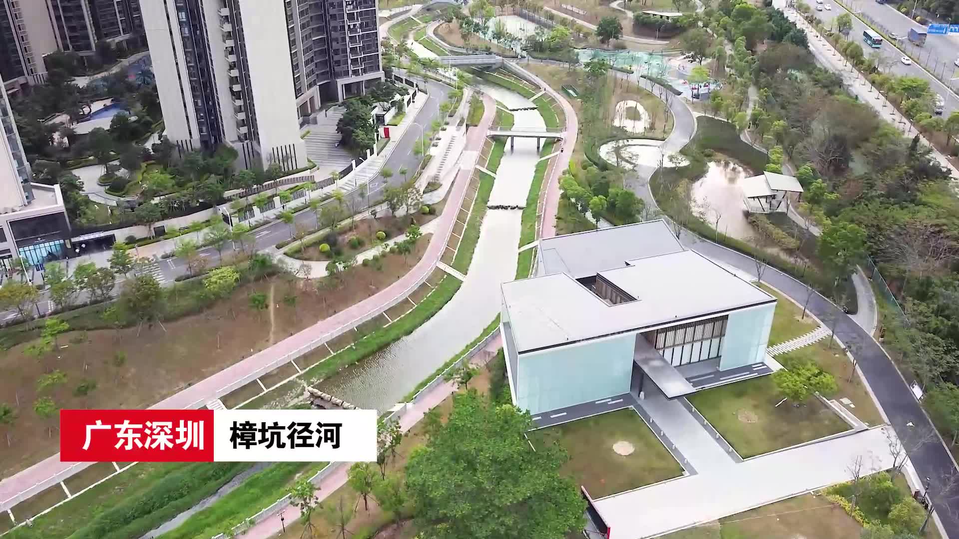 回眸十三五深圳治水樟坑径河成功逆袭上围村蝶变艺术桃花源