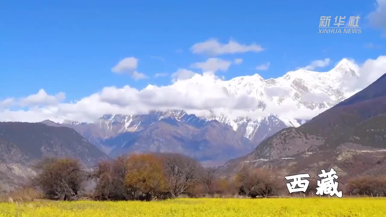 跨越万水千山的深情