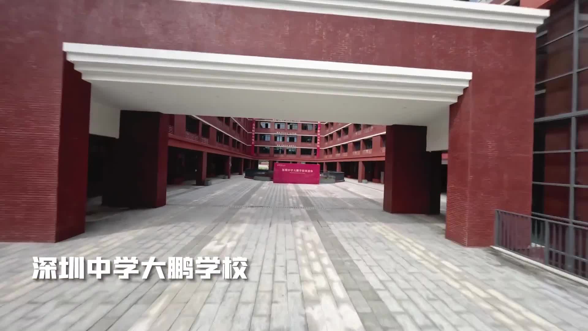大鹏2023:辉映大鹏,教育筑梦 br>_深圳新闻网