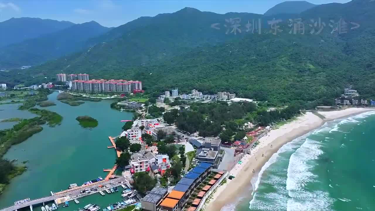 抓住新风口,解锁新玩法,南澳东涌举办深圳首个沙滩景区萌宠节